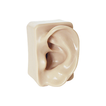 Modelo de oreja hecho de resina de color piel y flexible en tamaño original.                                                                                                                                                                              